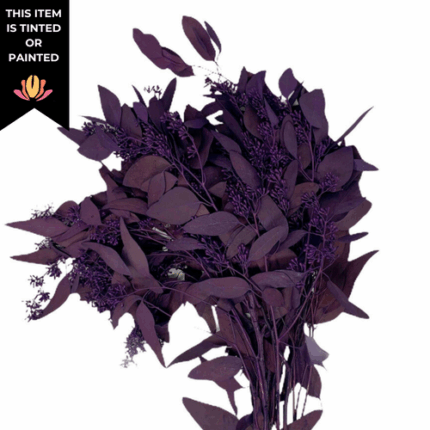Eucalyptus Seeded Purple tutul