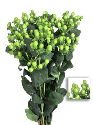 Hypericum Spray Green 60cm sol