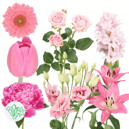 Mom's Delight Box holl