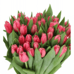 Tulip Frill HotPk holl - Image 2
