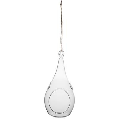 Teardrop Terrarium 4" x 8 1/2" 6cs