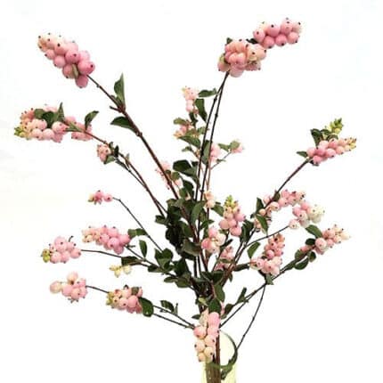 Snowberry Charm Fantasy holl