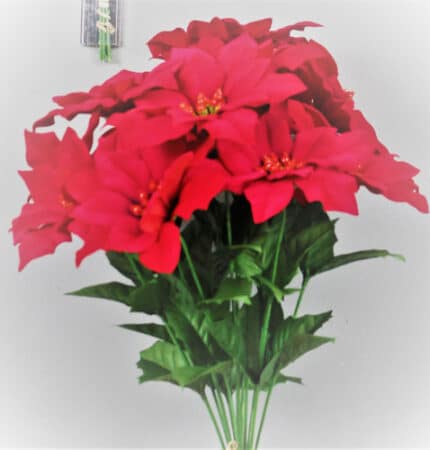 Poinsettia velvet finish red b
