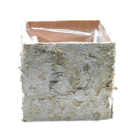 Birch Square Pots 4.75" white