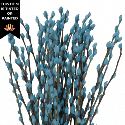 PWillow Dyed Pastel Blue holl