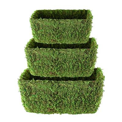 MOSS Zora Rectangle planter x3 green