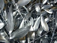 IT RUSCUS silver ghersi