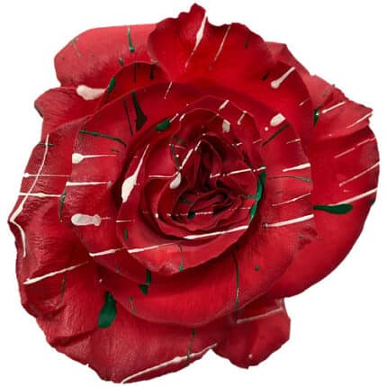 Rose Chirstmas Party 50cm flor