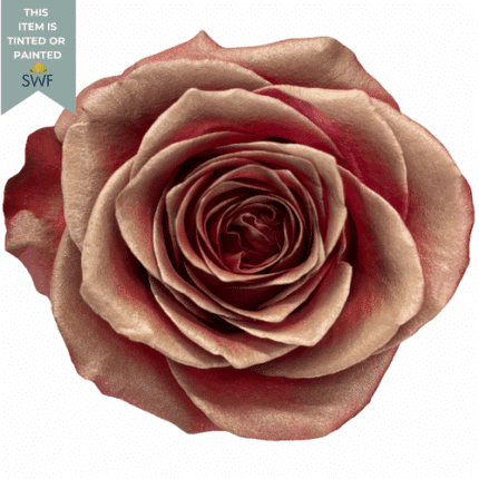 Rose Radish 50cm Florecal