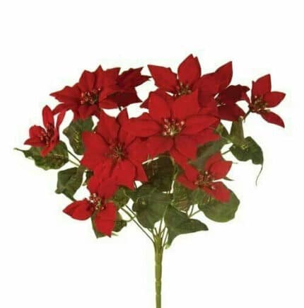 Poinsettia 17" velvet red w/glitter x11