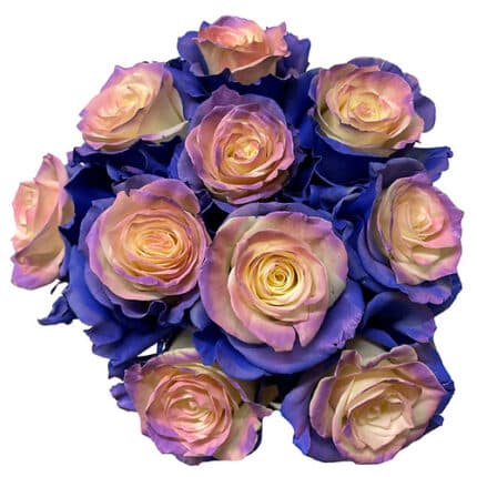 Rose All By Myself 50cm florec