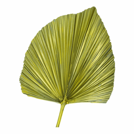 Palm Dried Yellow Metallic holex(STEM)