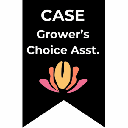 Anemone Asst Fullstar (10case)