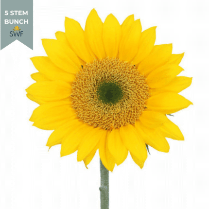 Sunflowers Mini Yellow bmark(5st)