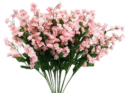 Baby'sBreath Pink trilogy