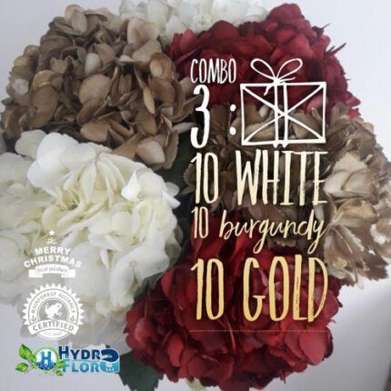 Hydrangea Holiday Wht, Burgundy, Gold (30)