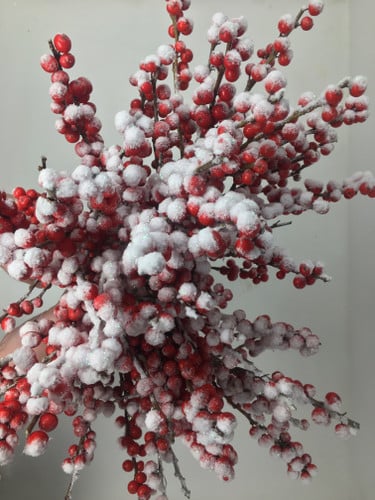 Ilex Frosted holl 50cm(10st)