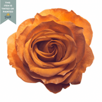 Rose Honey Mocha 70cm naranjo