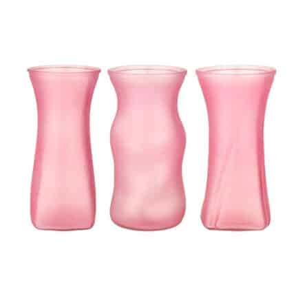 Rose Vs 8 1/2" blush frost 12cs