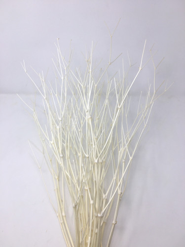 Gypso Bleached Sticks much
