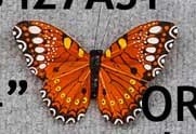 BUTTERFLY 4" ORG MH15428