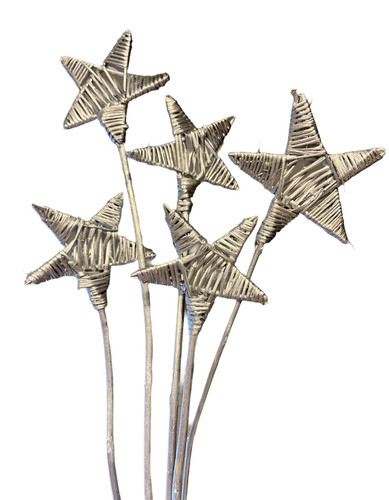 Branch stars painted silver 5 per bunch