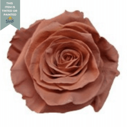 Rose Cold Brew Tinted 60cm Rio PrivCo