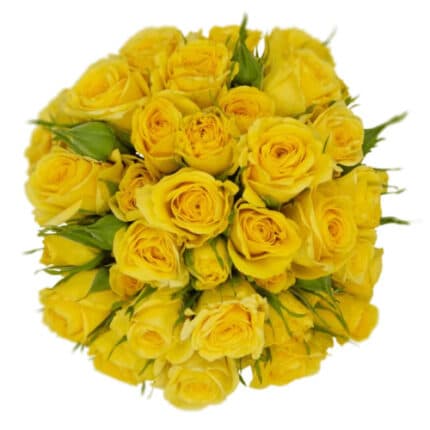 Rose Spray Golden Blossom Rpri