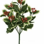 Holly Varigated Bush each