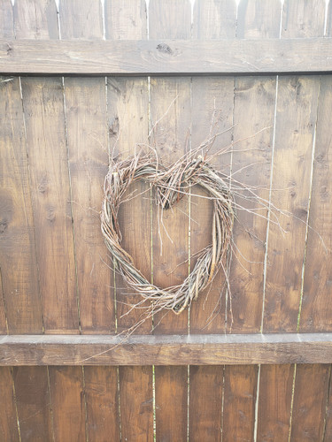 Birch Heart Medium 16" birch each