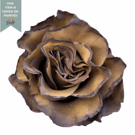 Rose Dark Mocca 50cm naranjo