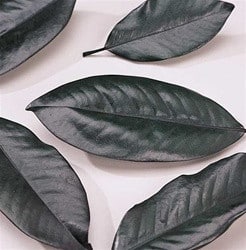 MAGNOLIA Leave Grn Bulk