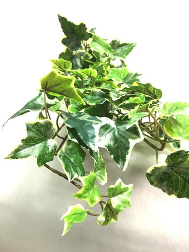 Silk weatherproof ivy bush x14