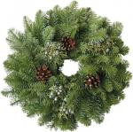D107 CANDLE RINGS 12PK