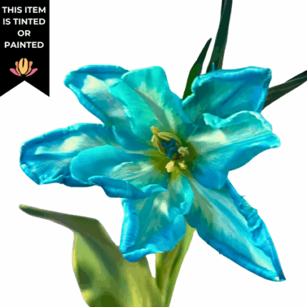 Tulip Dyed Lt Blue Cabana cana