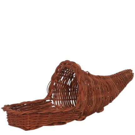 14" Cornucopia fern w/lip 4508 each
