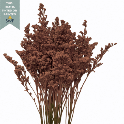 Solidago rio