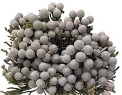SILVER BRUNIA cross