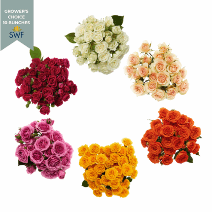 RoseSpray Asst(10cs) rfi