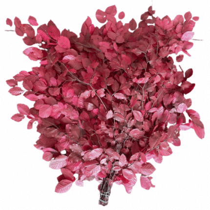 Preserved Copper Beech Leaves Cyclamen