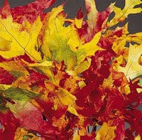 Leaves Harvestone Oak 1lb.