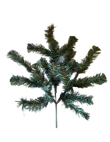 Pine Spray Elk mountain pine x18 green Each