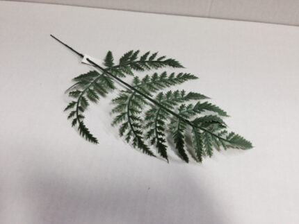 FERN leather leaf med #7708 dz