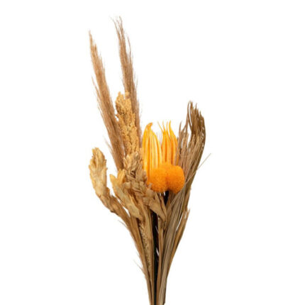 Bouquet Dried  Magical Twiligh