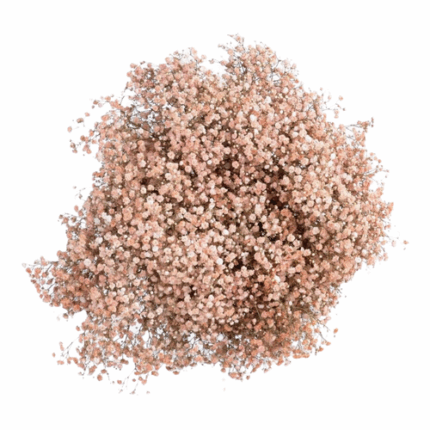 Baby's Breath Lt Pink much