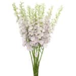 Delph Mauve River Elatium 70cm