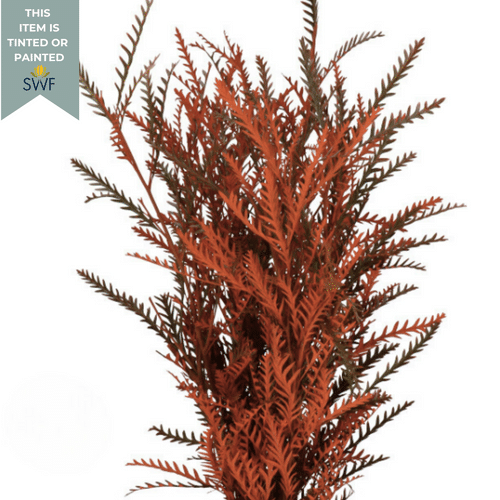 2b121a84-50c5-4b2f-814e-3bf9e4a4bcee.png Grevillea Tinted Orange mellan - Image 1