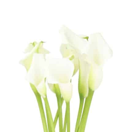 Calla Crystal White sole