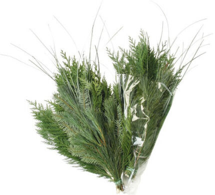 D119 EVERGREEN BOUQUET 20 PK