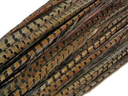 Feather Pheasant (sleeved) 10p